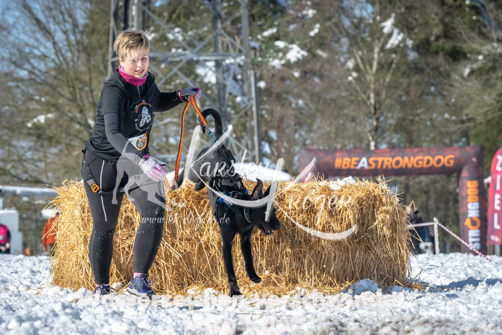 1131_ZZ92490-3 | kk-dogfotos