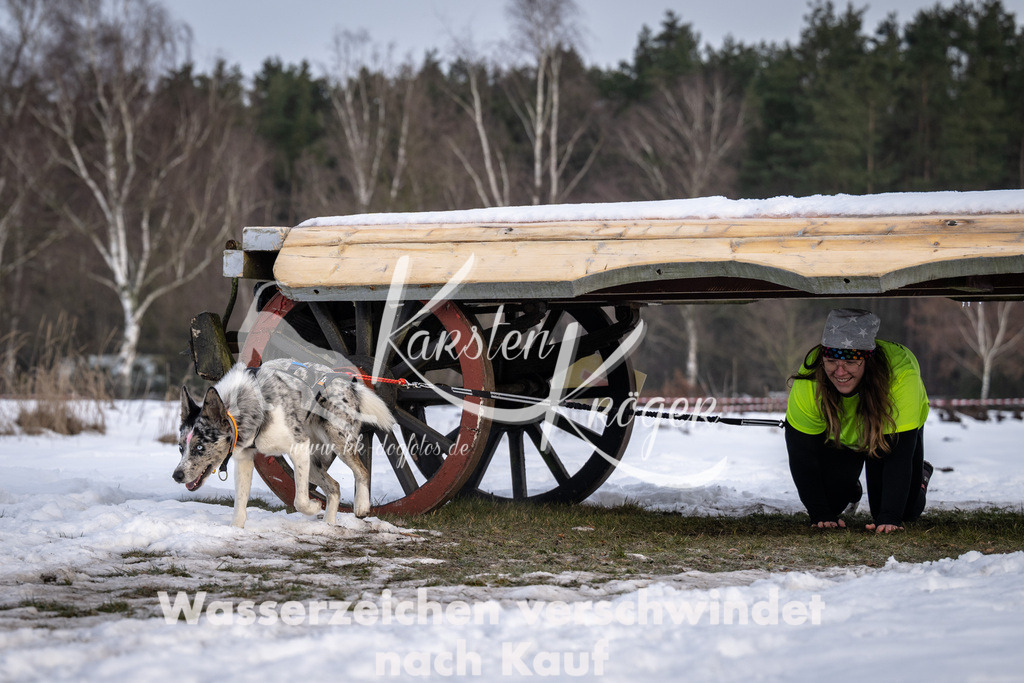0811_ZZ90820-5 | kk-dogfotos