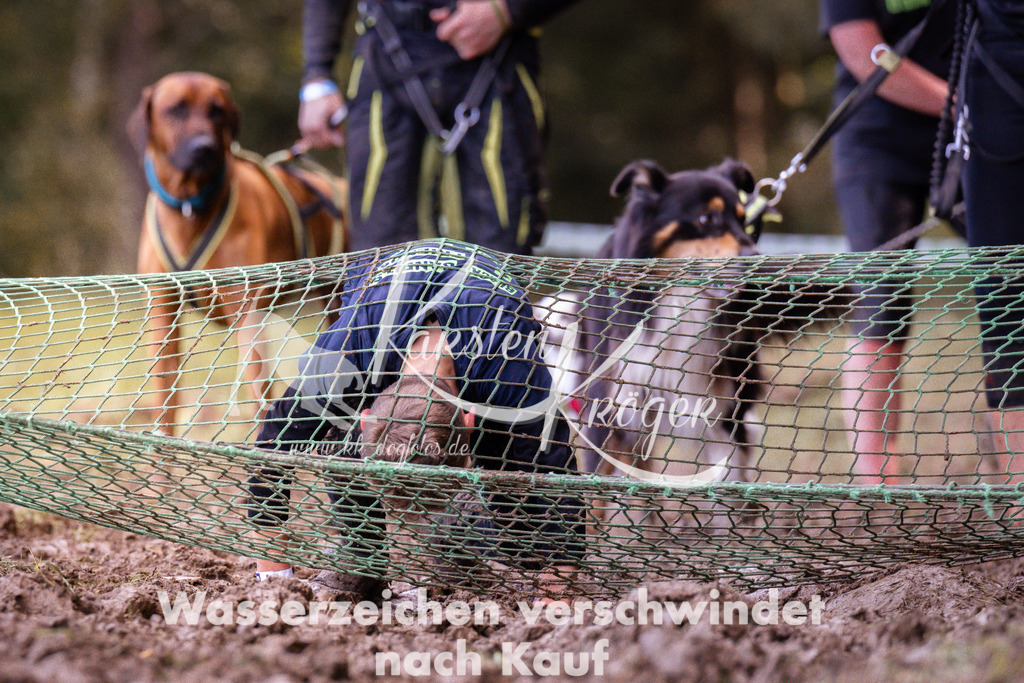 1251_ZZ91376 | kk-dogfotos