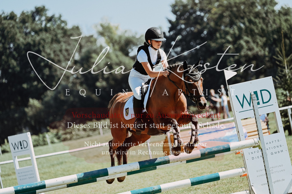DSC_6131 | Pferde- und Turnierfotografie in Westsachsen. Pferdeportraits, Auftragszeichnungen und intuitive Kunst.