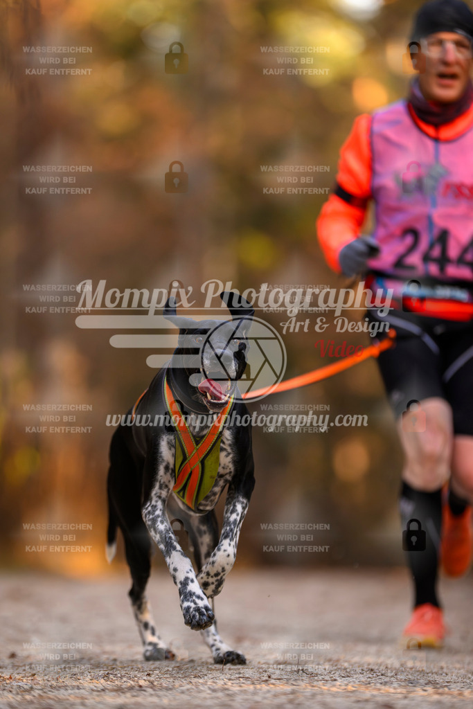 MompixPhotography_DM_AKDM_SO_2025_-83 | PayLife