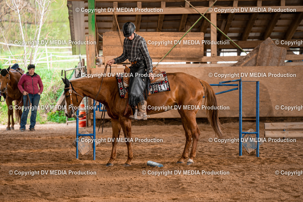 BA400846 | dv-media-shop - Realisiert mit Pictrs.com