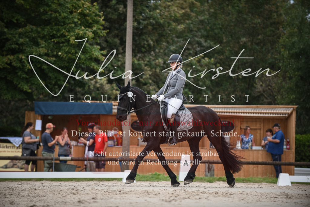 DSC_8328 | Pferde- und Turnierfotografie in Westsachsen. Pferdeportraits, Auftragszeichnungen und intuitive Kunst.