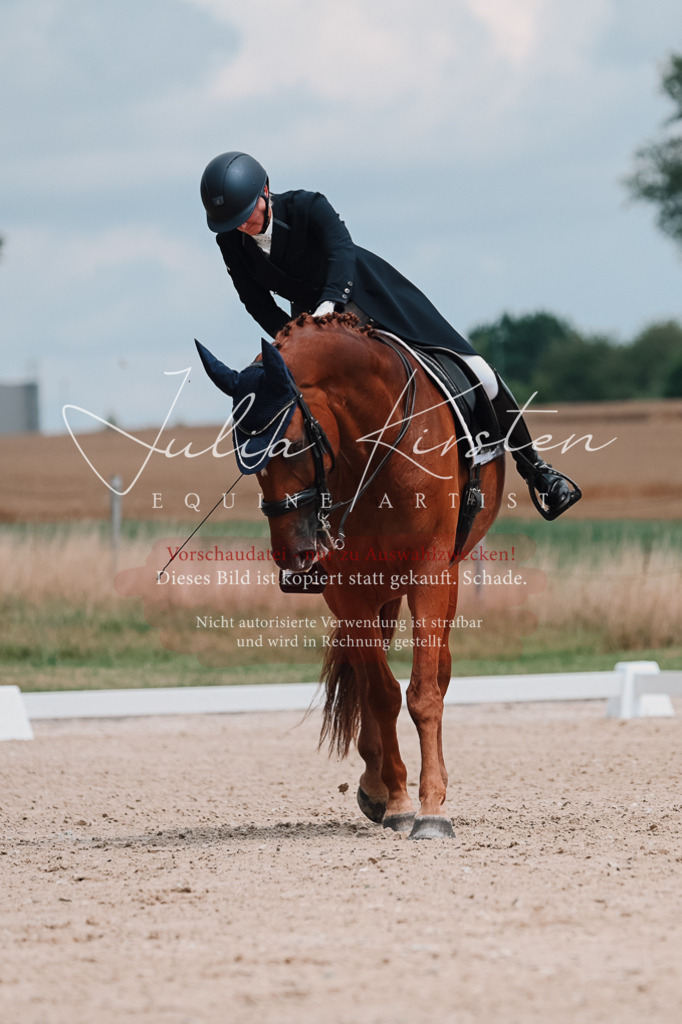 DSC_4239 | Pferde- und Turnierfotografie in Westsachsen. Pferdeportraits, Auftragszeichnungen und intuitive Kunst.