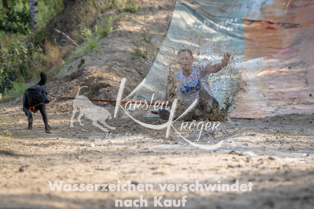 0916_ZZ95316 | kk-dogfotos