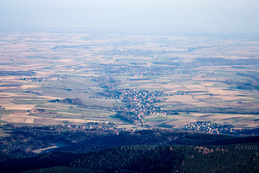 Aerial view: View of the town in Steinseltz in the state Bas-Rhin, France. – Photo: IMG_17478.jpg taken on 03/21/2009 by Werner Riehm/FLY-FOTO.com – Resolution of the original: 4272 x 2848 px