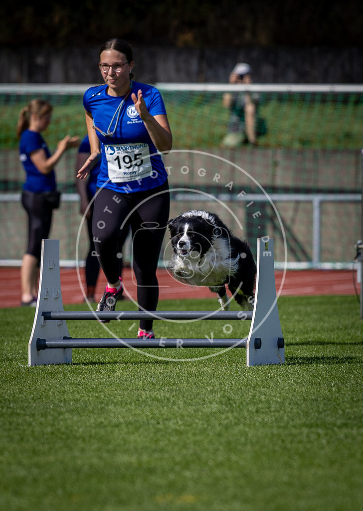 Pfotenfotografie_DV3A0739 | Hundefotografie, Tierfotograf, Pfotenfotografie, Fotoshooting Hund, Hunde Portrait, Hundesport, Hundeportraits, Heideshooting, Hunde, Sportfotograf, Hundefotograf, Turnierhundsport, THS,  - Realisiert mit Pictrs.com