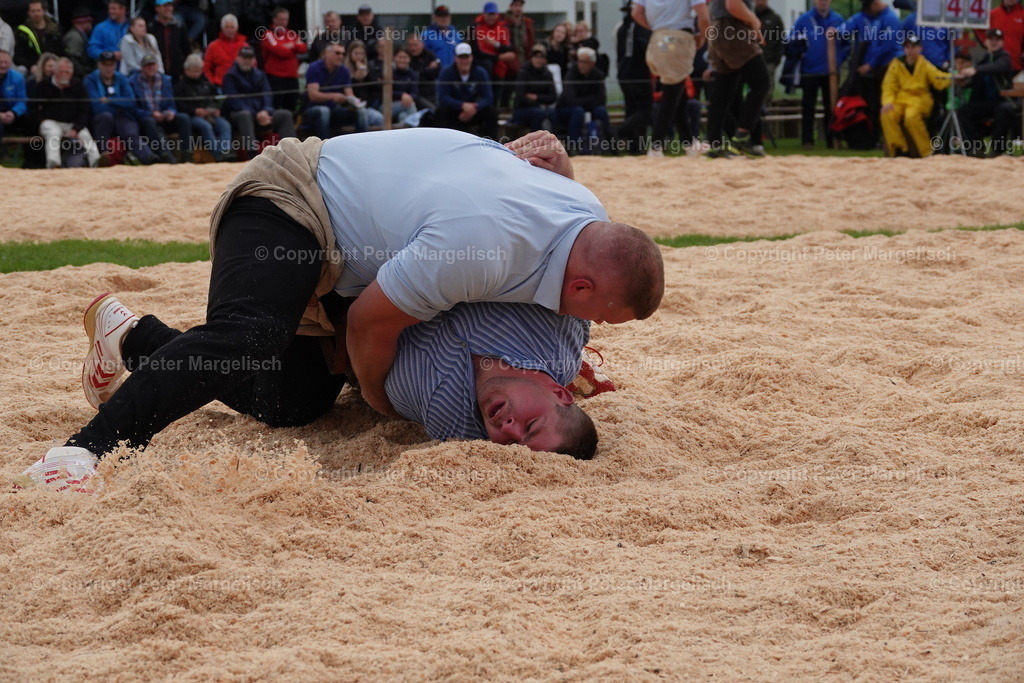DSC00642 | Schwingen - Realisiert mit Pictrs.com