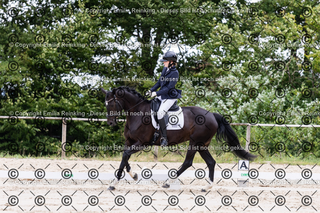 CL5A2061 | Emilia Reinking Fotografie - Realisiert mit Pictrs.com