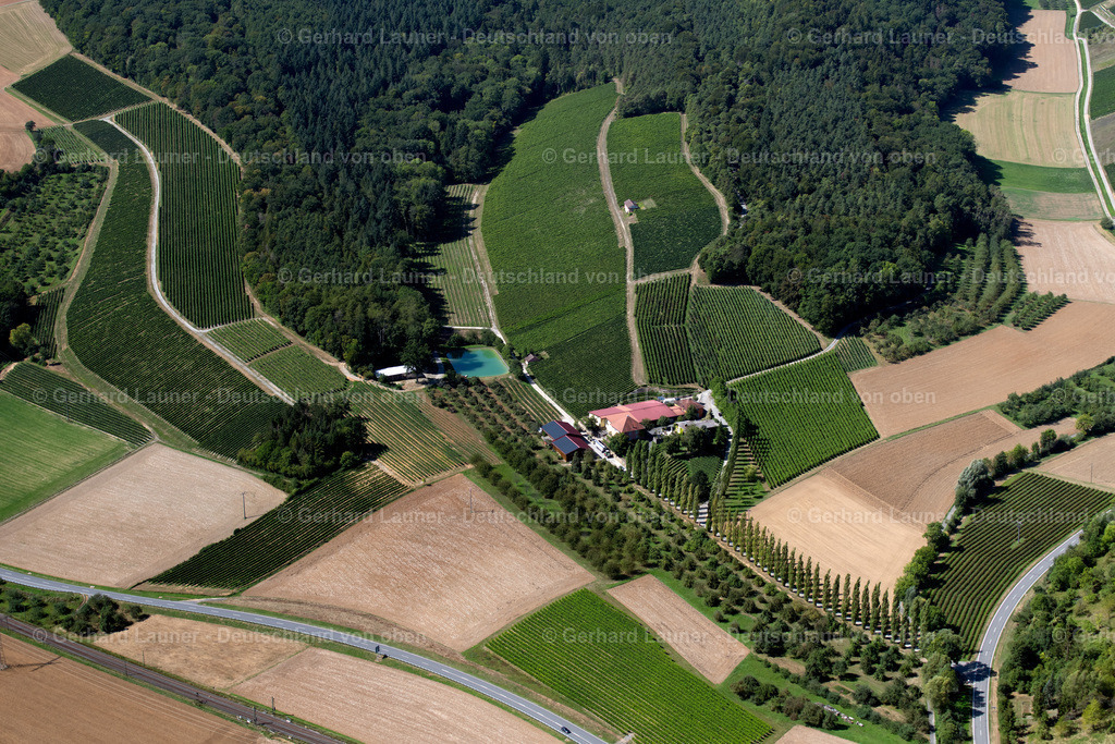 3902362 | Weingut Benz, Lauda-Königshofen