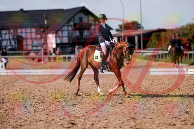 2026_10_03_Siefer-Hof_132726_Z81_81710312 | Professionelle Reitsport-, Turnier- und Eventfotografie von Robert Broda. Galerien mit ausgewählten und bearbeiteten Bildern direkt online ansehen und bestellen.