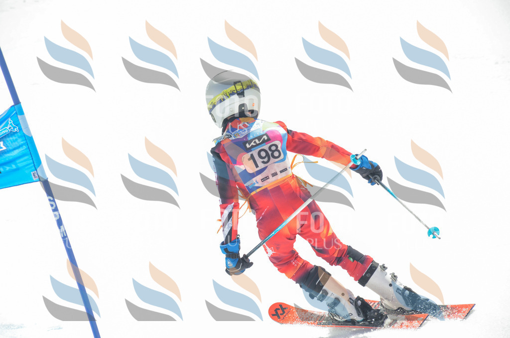 _ELE6888 | holidayphoto