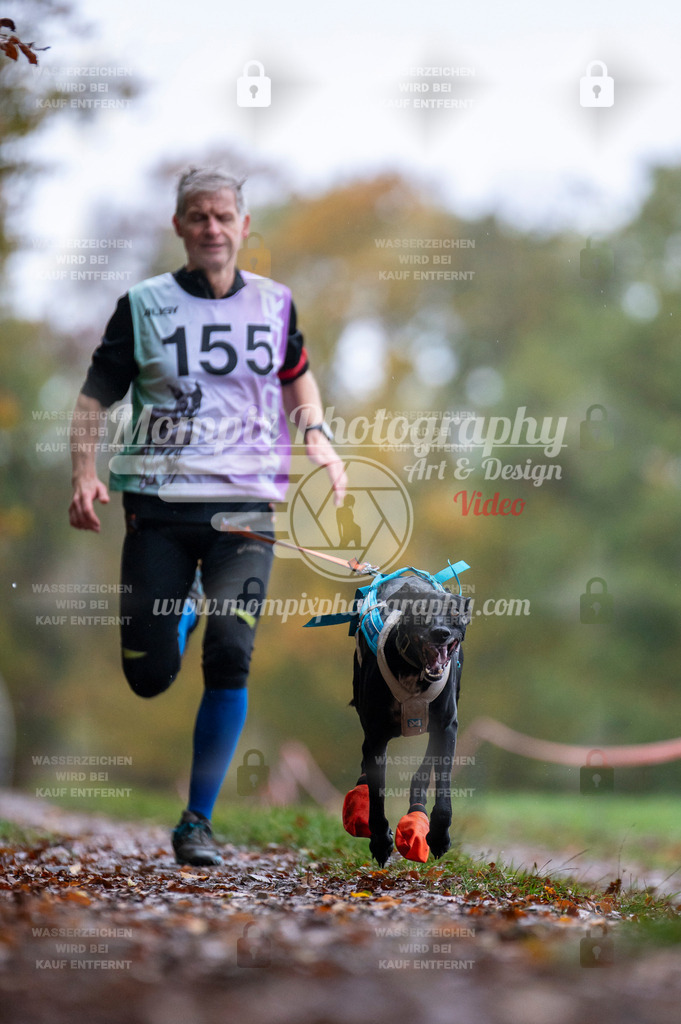 DBT_DAKM_SA_4_11_2023_Canicross-79 | PayLife