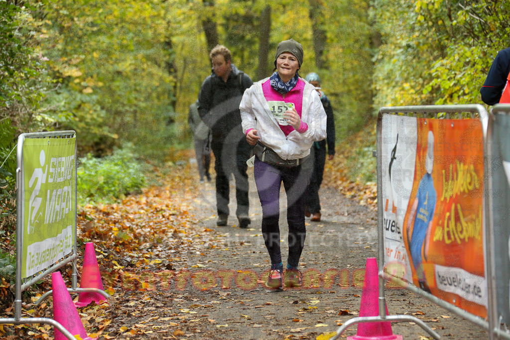 251026_1359_EX1_4077 | Sportfotografie im Rhein-Sieg Kreis, Köln, Bonn, NRW, Rheinland Pfalz, Hessen, etc. Unser Tätigkeitsfeld umfasst den Laufsport vom Volkslauf über den Marathon, Duathlon, Triathon bis zum Ultralauf wie Kölnpfad Ultra oder Schindertrail.