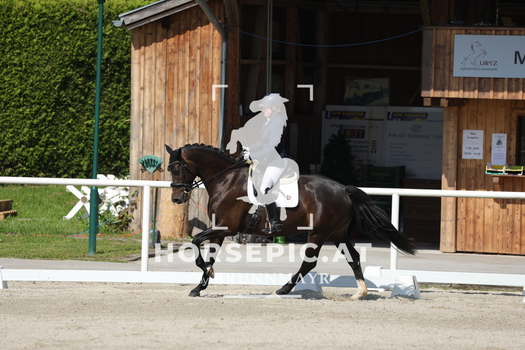 0P6A0419 | Willkommen bei Brunnmayr - Design & Fotografie – Ihrem Spezialisten für Reitturniere und Pferdeveranstaltungen in Oberösterreich, Salzburg und Bayern! Seit über 17 Jahren sind wir leidenschaftlich dabei.