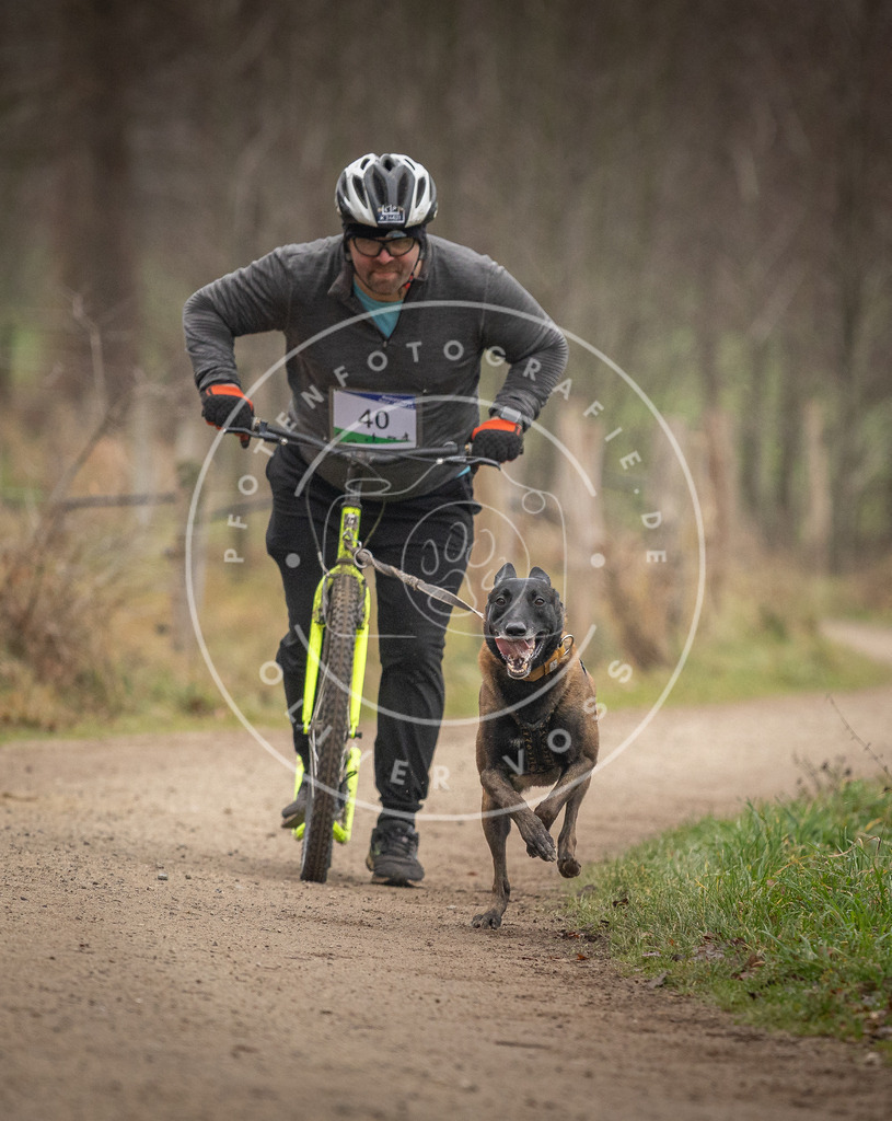 Pfotenfotografie_DV3A2547 | Hundefotografie, Tierfotograf, Pfotenfotografie, Fotoshooting Hund, Hunde Portrait, Hundesport, Hundeportraits, Heideshooting, Hunde, Sportfotograf, Hundefotograf, Turnierhundsport, THS,  - Realisiert mit Pictrs.com