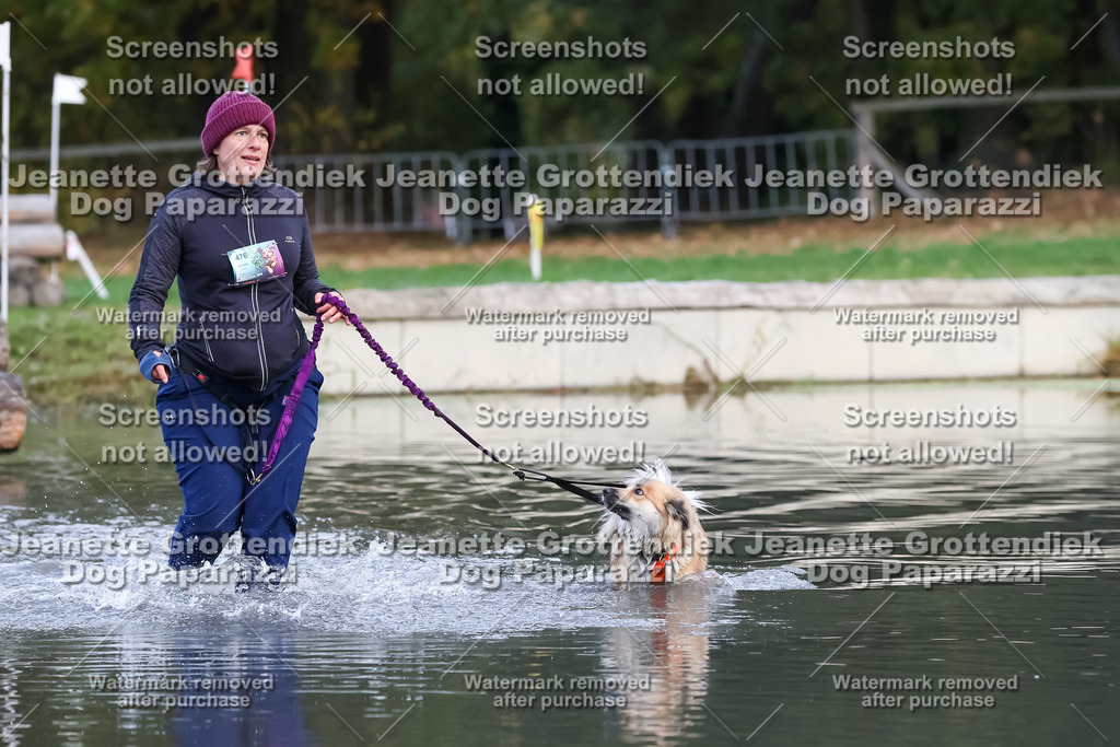 Dog Paparazzi - Strongdog 10-25-6369 | Dog Paparazzi Jeanette Grottendiek Fotografie & Videografie - Realisiert mit Pictrs.com