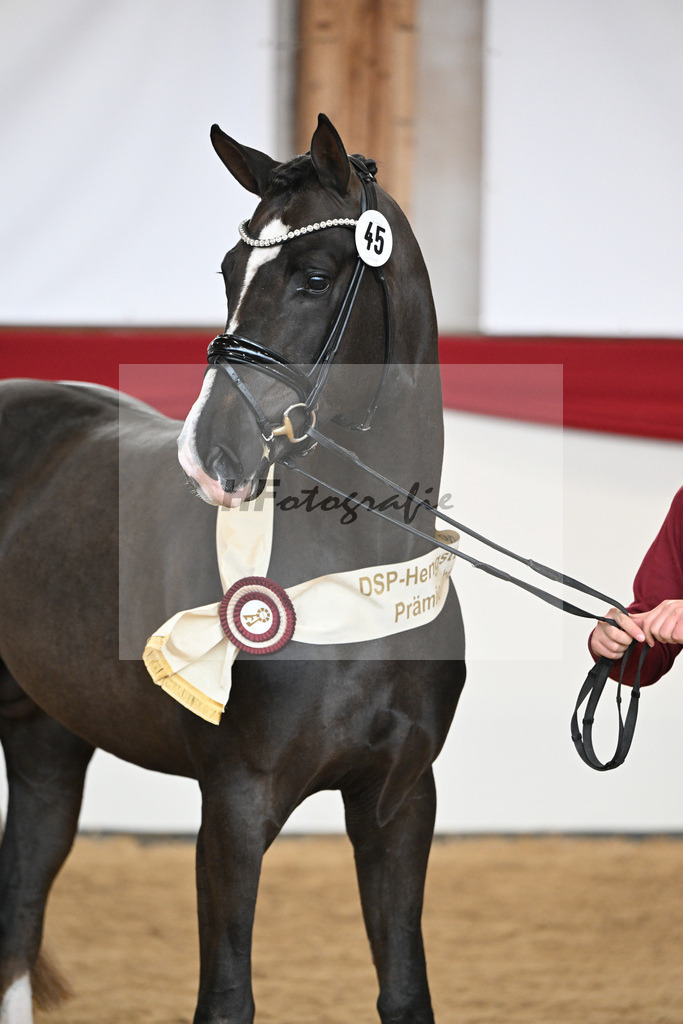 Kat.-Nr. 45 v. Bonds_Schafhof_2252053 | hf-fotografie - Realisiert mit Pictrs.com