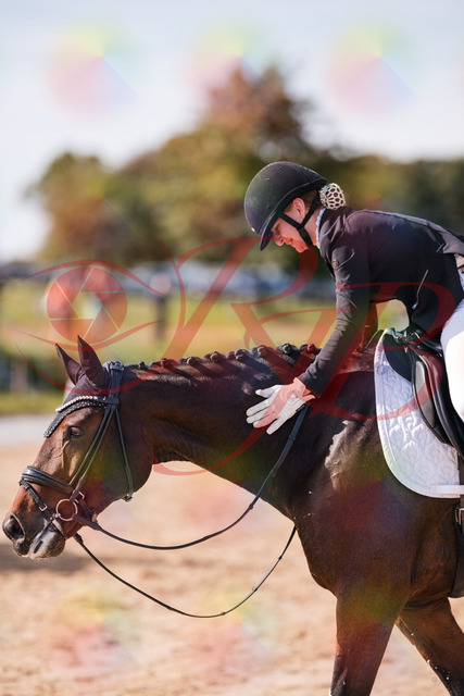 2026_10_03_Siefer-Hof_125903_Z81_50557196 | Professionelle Reitsport-, Turnier- und Eventfotografie von Robert Broda. Galerien mit ausgewählten und bearbeiteten Bildern direkt online ansehen und bestellen.