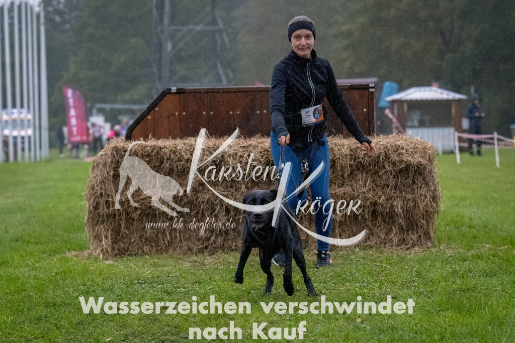 0901-_ZZ92873-Bearbeitet | kk-dogfotos
