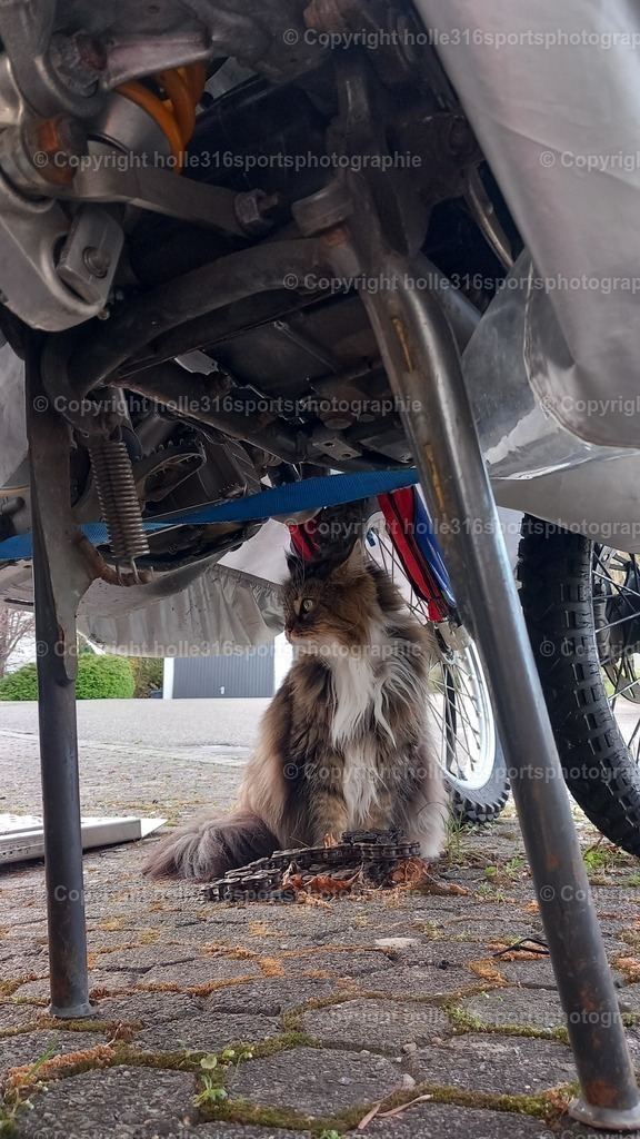 20260406_191101 | Sportfotografie , Motorsport, Motoross, Reitsport, Mointainbike, Enduro,
Landschaft , Outdoor, Eventfotografie, Landschaft, Bilder online bestellen - Realisiert mit Pictrs.com