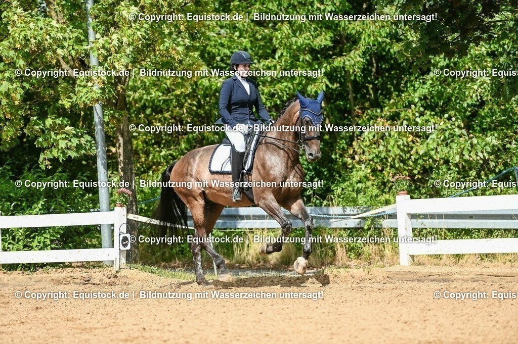 20230716_01_Dressurprüfung Kl.M_0301 | equistock