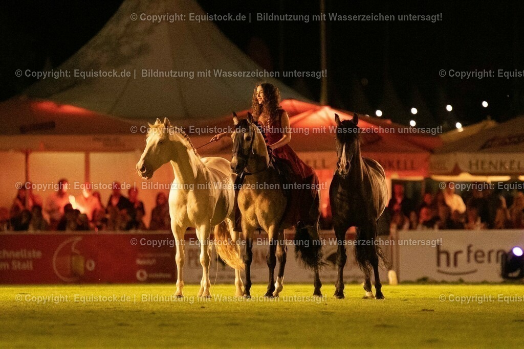 20230526_Pferdenacht_1510 | equistock