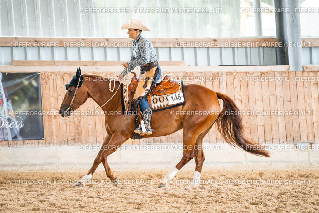 DSC00670 | Pferdegrafie