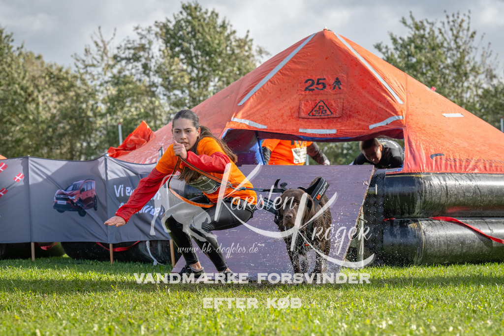 1229-93881 | kk-dogfotos
