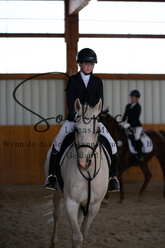 A7V02072 | Turnier/Reitfotograf