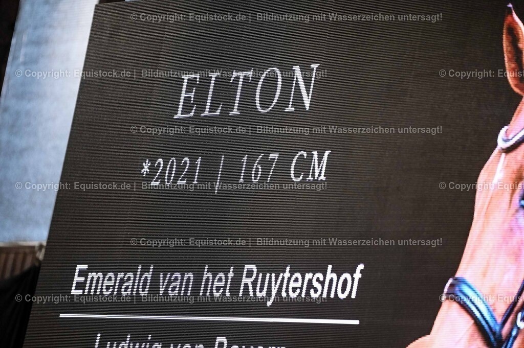20260307_Hengstvorstellung-Marbach_0043 | equistock