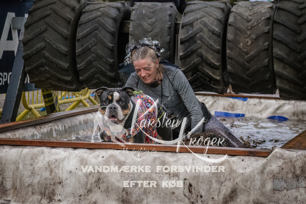 1629_ZZ93542 | kk-dogfotos