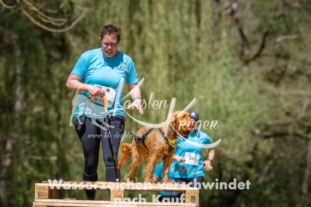 1255_ZZ95006 | kk-dogfotos