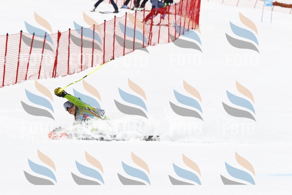 _U3G7024 | holidayphoto