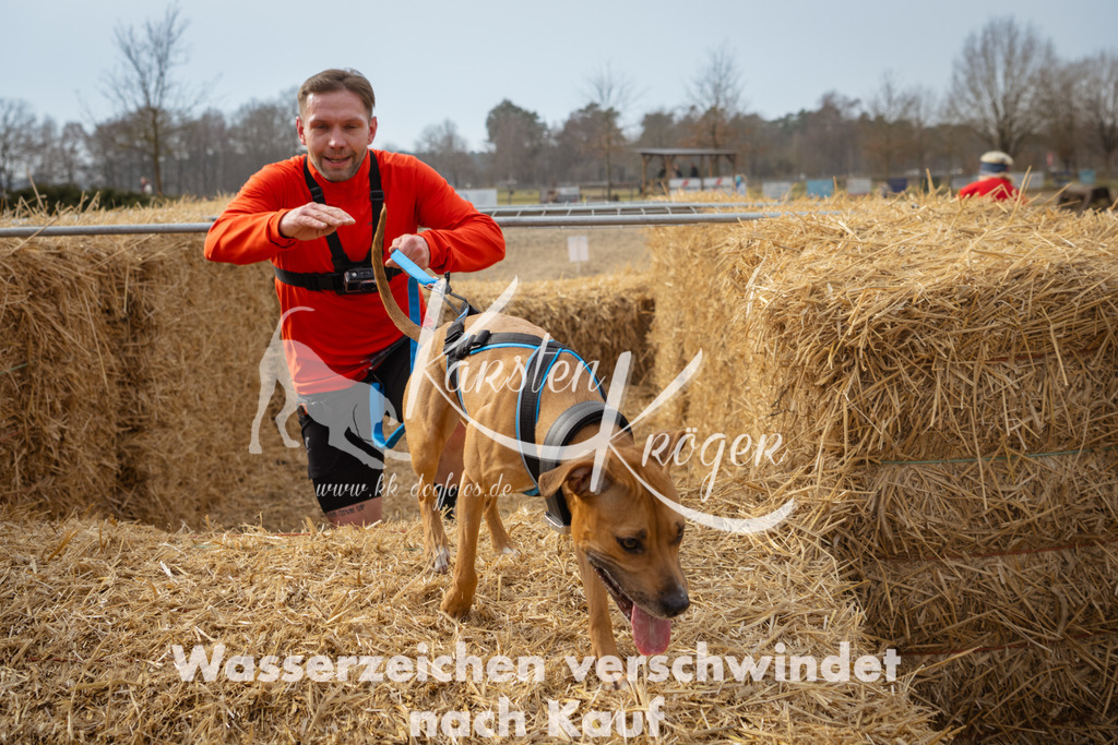 1102_ZZ91761 | kk-dogfotos