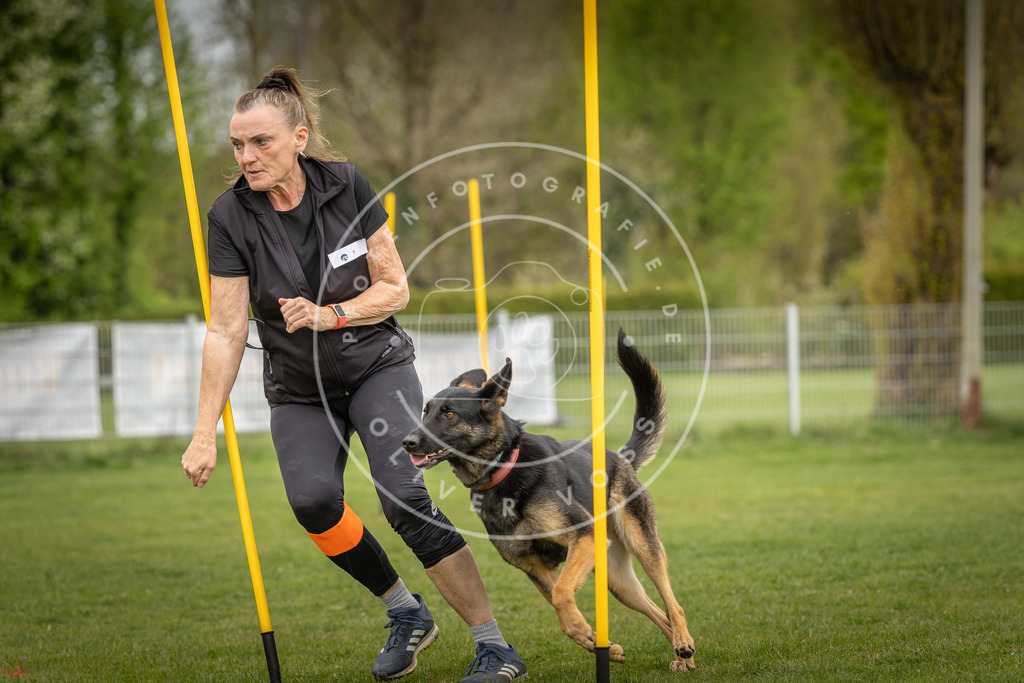 Pfotenfotografie_DV3A7502 | Hundefotografie, Tierfotograf, Pfotenfotografie, Fotoshooting Hund, Hunde Portrait, Hundesport, Hundeportraits, Heideshooting, Hunde, Sportfotograf, Hundefotograf, Turnierhundsport, THS,  - Realisiert mit Pictrs.com