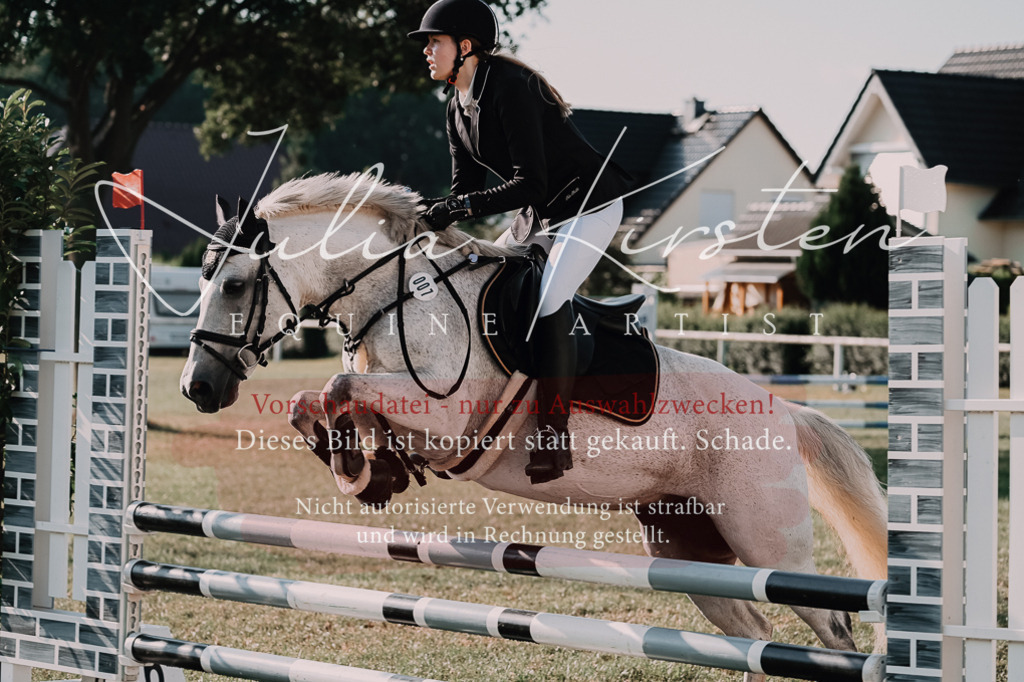 DSC_4442 | Pferde- und Turnierfotografie in Westsachsen. Pferdeportraits, Auftragszeichnungen und intuitive Kunst.