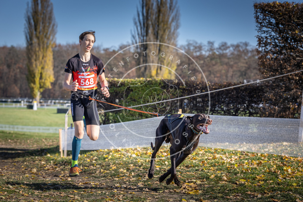 CaniXpix_DV3A8827 | Hundefotografie, Tierfotograf, Pfotenfotografie, Fotoshooting Hund, Hunde Portrait, Hundesport, Hundeportraits, Heideshooting, Hunde, Sportfotograf, Hundefotograf, Turnierhundsport, THS,  - Realisiert mit Pictrs.com