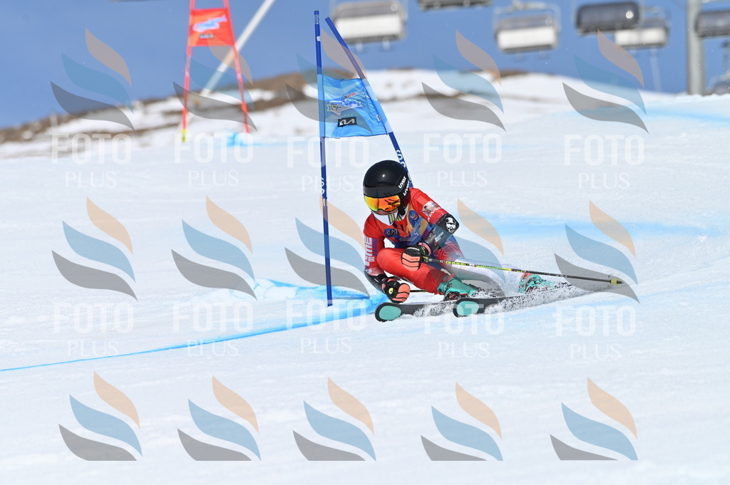 BGV_0788 | holidayphoto