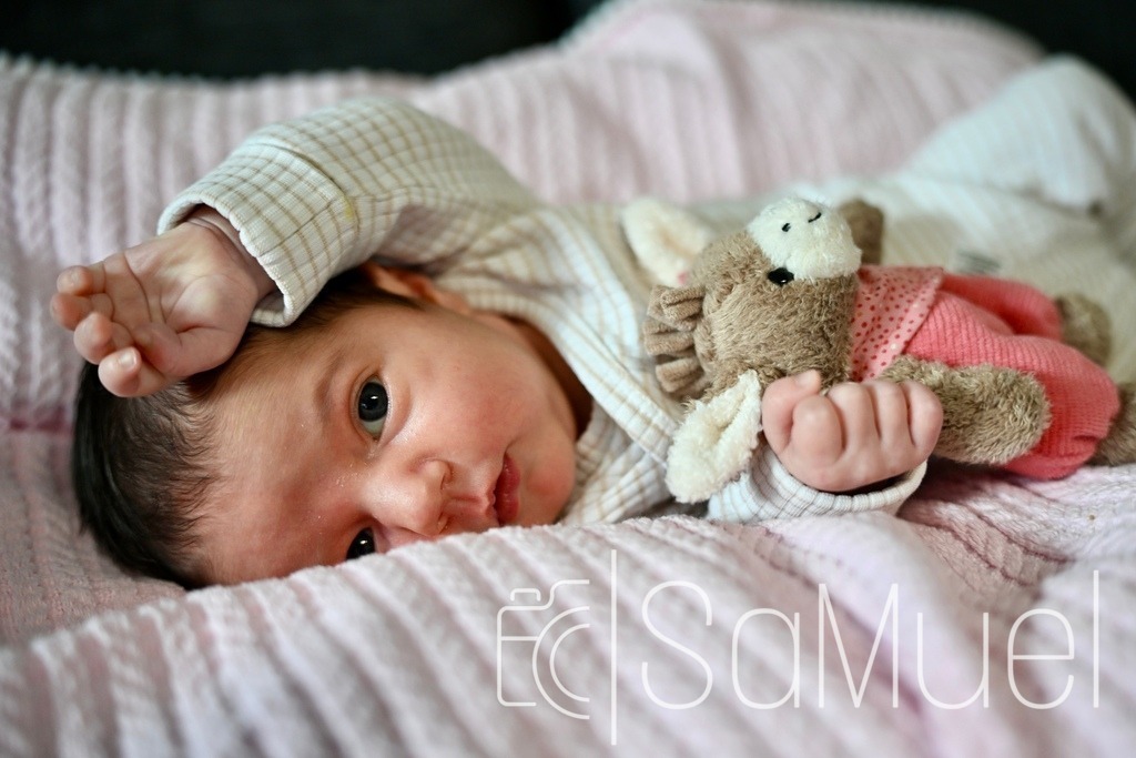 SML_4420 | Sa-Muel - Realisiert mit Pictrs.com