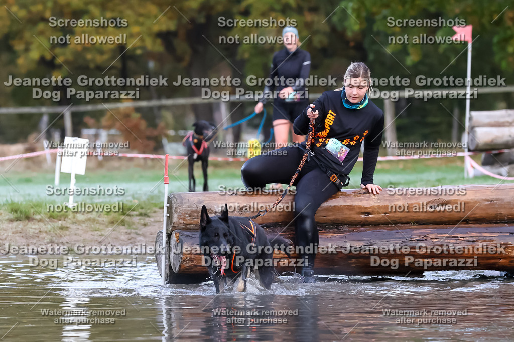 Dog Paparazzi - Strongdog 10-25-6271 | Dog Paparazzi Jeanette Grottendiek Fotografie & Videografie - Realisiert mit Pictrs.com