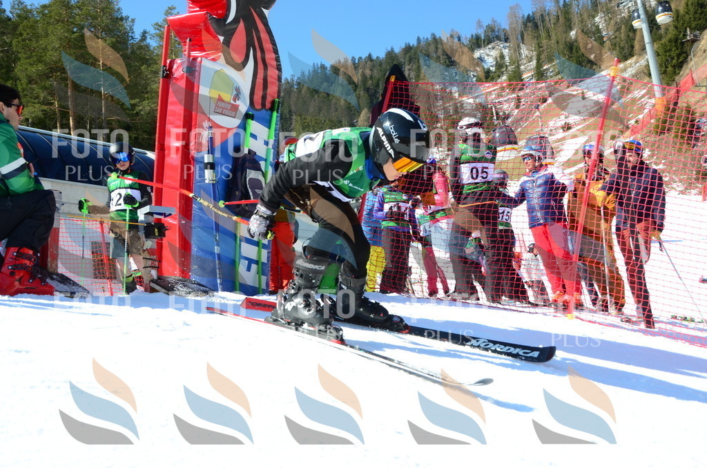 C5945 | holidayphoto