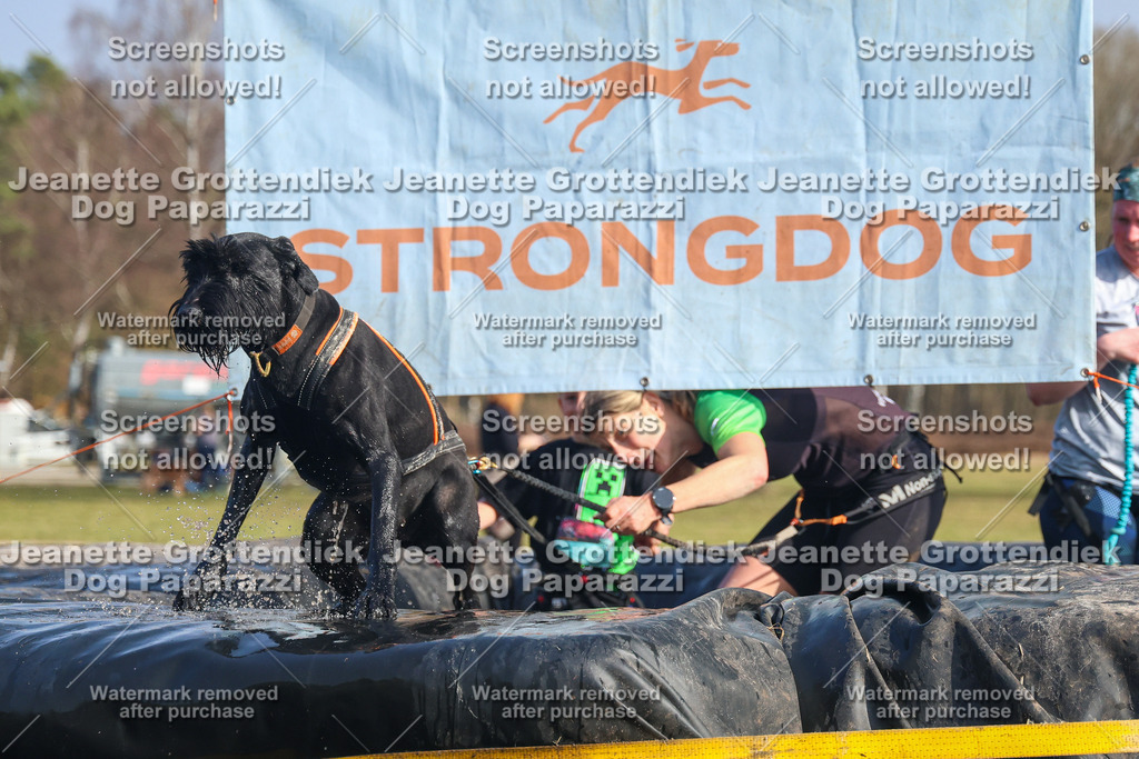 Dog Paparazzi - Strongdog North Mrz26-2754 | Dog Paparazzi Jeanette Grottendiek Fotografie & Videografie - Realisiert mit Pictrs.com