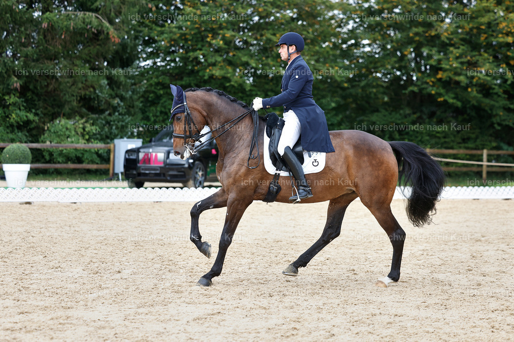 12-226-DRESSUR  S___  -StoibPH-5278 | working equitationturnier fotograf videograf stoibphotography marixx film working equitation deutschland reitsport turnierfotografie eventfotografie equestrian events