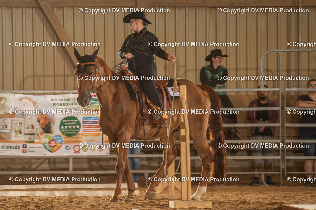 NID02646 | dv-media-shop - Realisiert mit Pictrs.com