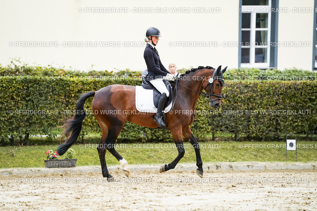 DSC06312 | Pferdegrafie