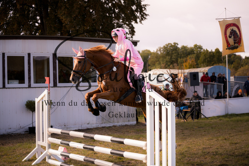 A7V06506 | Pferdefotograf