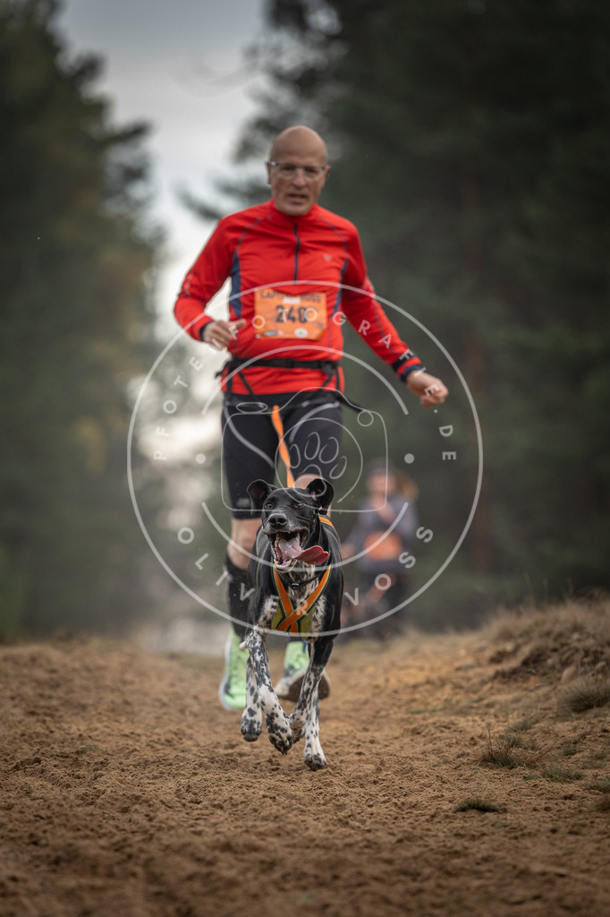 Pfotenfotografie_DV3A5680 | Hundefotografie, Tierfotograf, Pfotenfotografie, Fotoshooting Hund, Hunde Portrait, Hundesport, Hundeportraits, Heideshooting, Hunde, Sportfotograf, Hundefotograf, Turnierhundsport, THS,  - Realisiert mit Pictrs.com