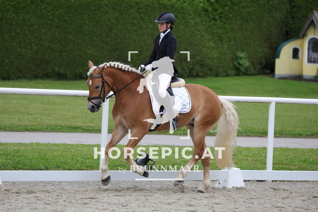 0P6A7106 | Willkommen bei Brunnmayr - Design & Fotografie – Ihrem Spezialisten für Reitturniere und Pferdeveranstaltungen in Oberösterreich, Salzburg und Bayern! Seit über 17 Jahren sind wir leidenschaftlich dabei.
