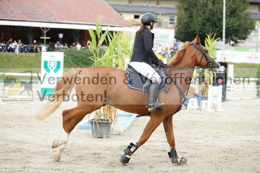 DSC03718 | equestrian-live-com